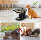 Cat Bowls Elevated, Raised Cat Food Bowls For Cats, Adjustable Heights Cat Food And Water Bowl With Black Shelf. | Lilac Cats