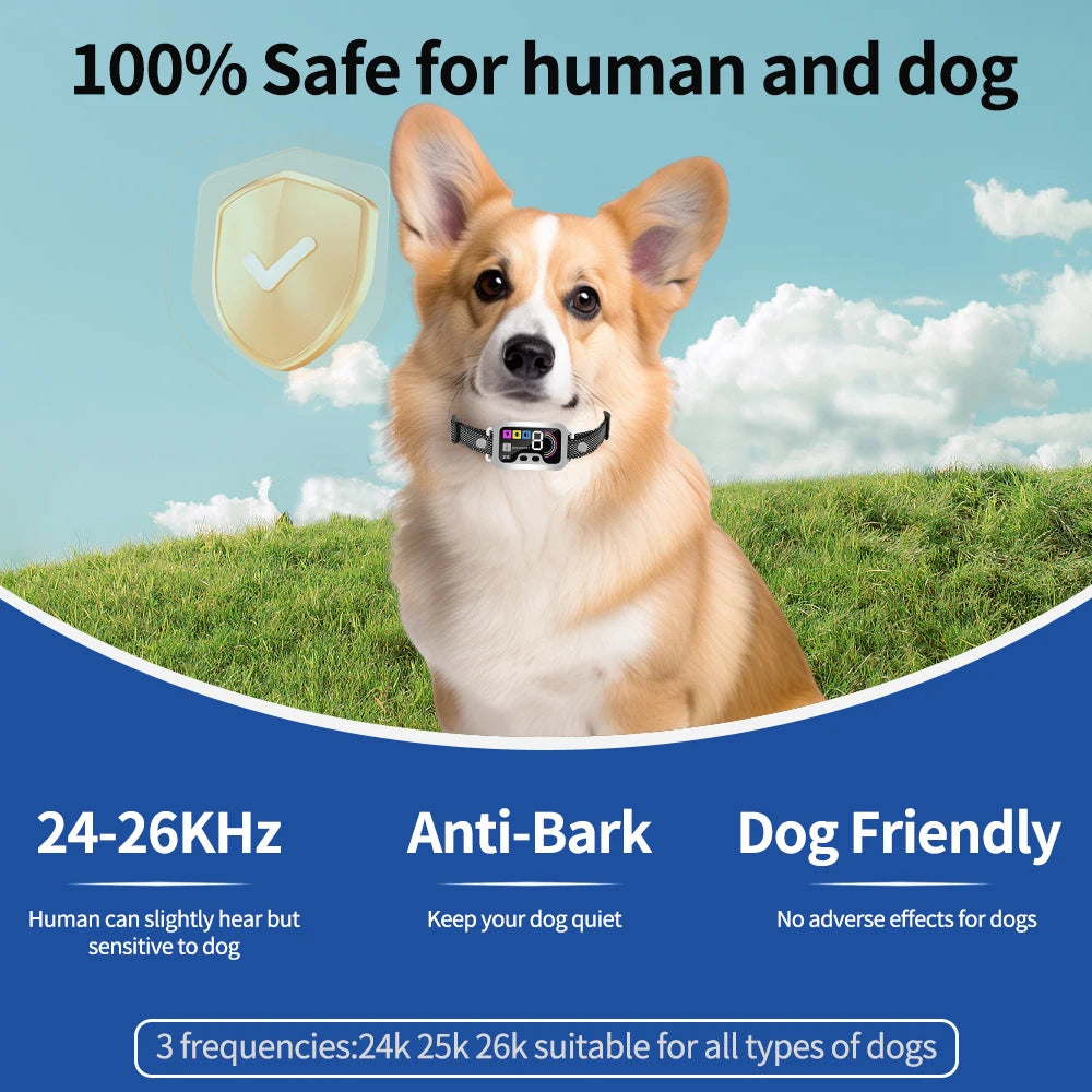 Smart Dog Bark Collar | Lilac training