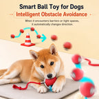 New Dog Interactive Ball Toy,Automatic Rolling Dog Ball Rechargeable,Smart Puppy Interactive Toy,Intelligent Balls Toy for Dogs | Lilac Dogs