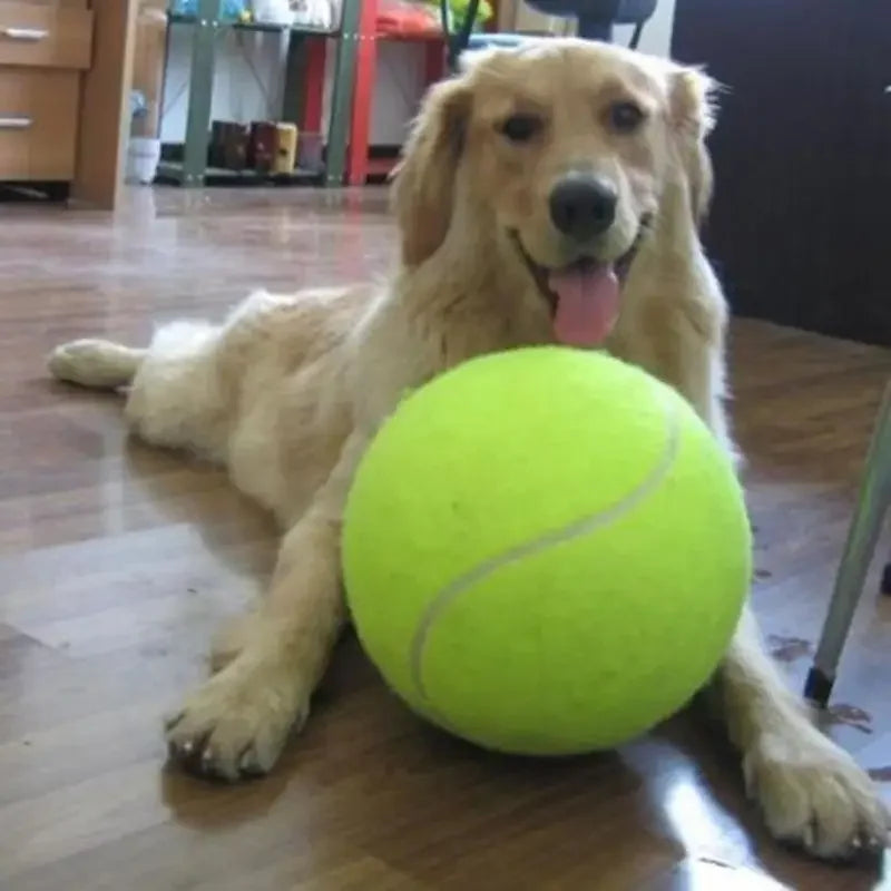 7/8/9.5Inch Dog Tennis Ball Giant | Lilac toys