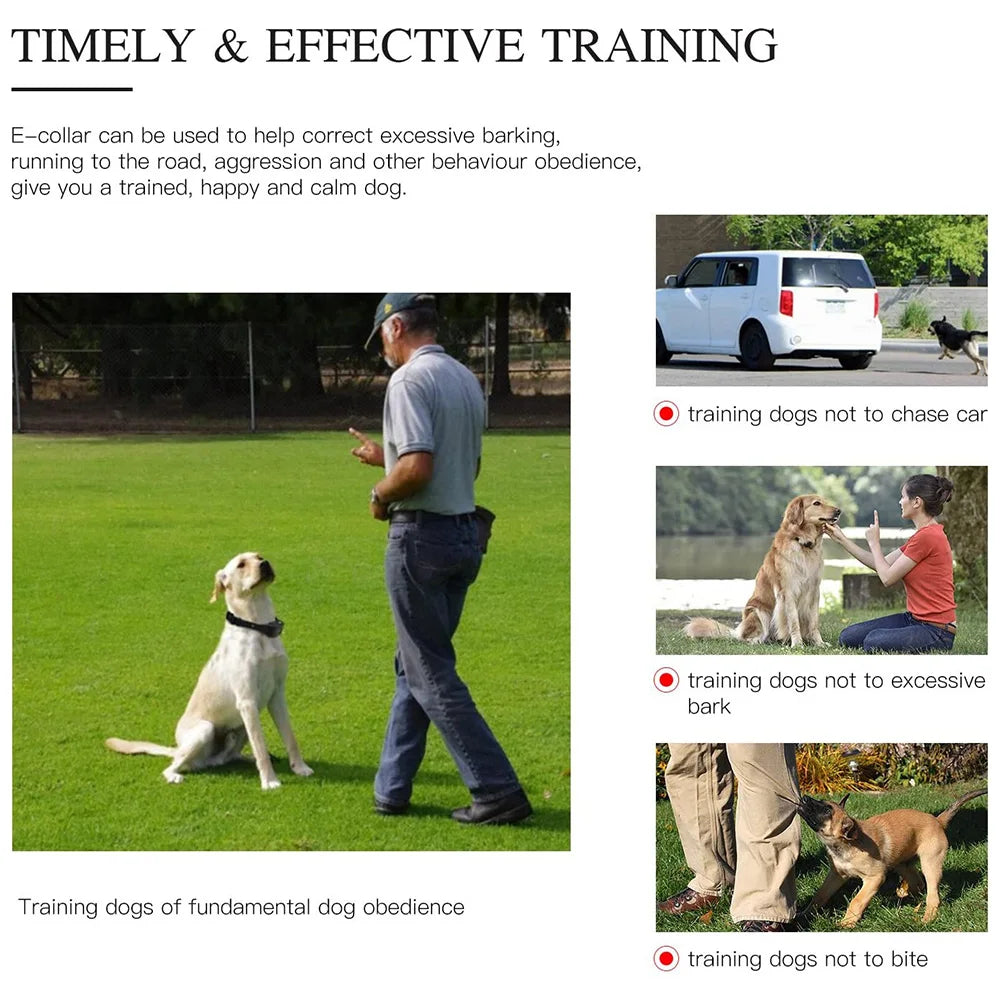Electric Dog Training Collar Detachable Bark  Rechargeable Anti Barking With pet clicker | Lilac Training