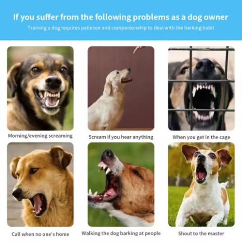 Intelligent Dog Barking Collar Type-C Rechargeable | Lilac Training