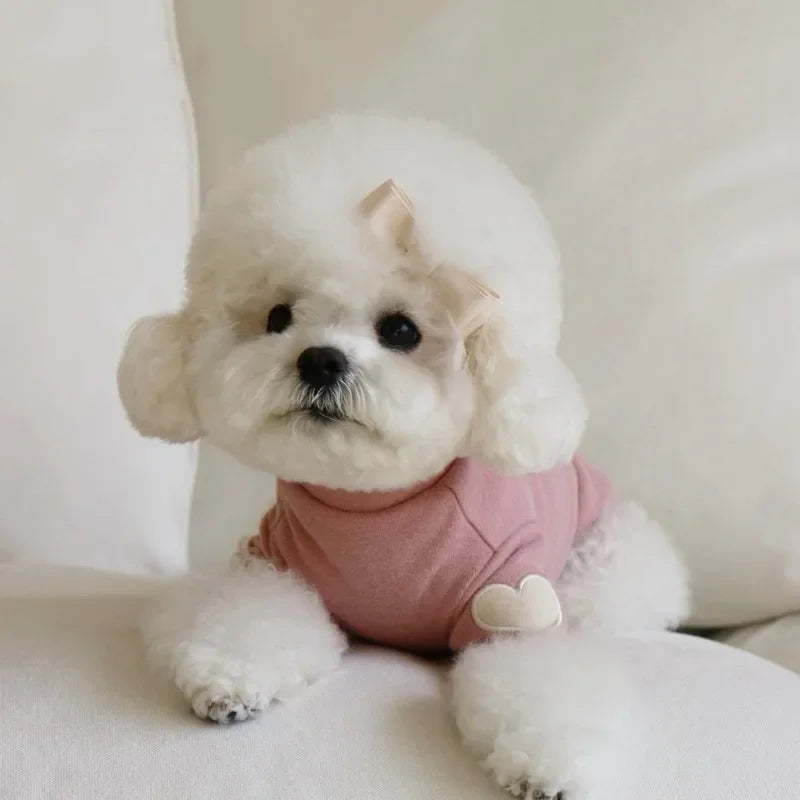 Love Winter Warm Pet Dog Clothes Cute Love Bear Teddy | Lilac Style
