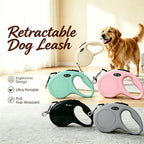 Pet Retractable Dog Leash, Automatic Extendable Pet Lead Rope for Small and Medium Dogs | Lilac Walk
