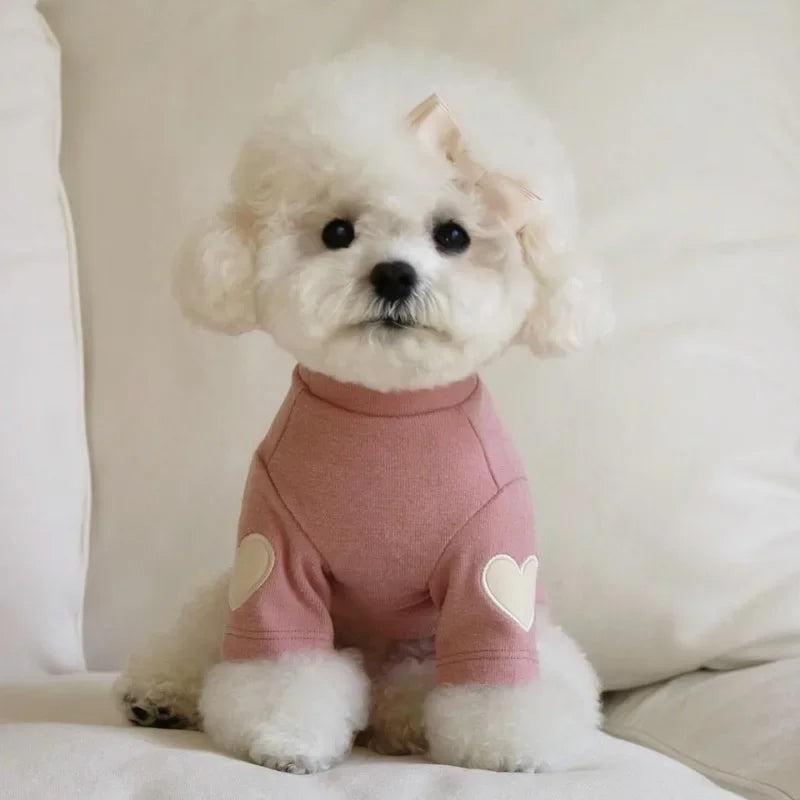 Love Winter Warm Pet Dog Clothes Cute Love Bear Teddy | Lilac Style