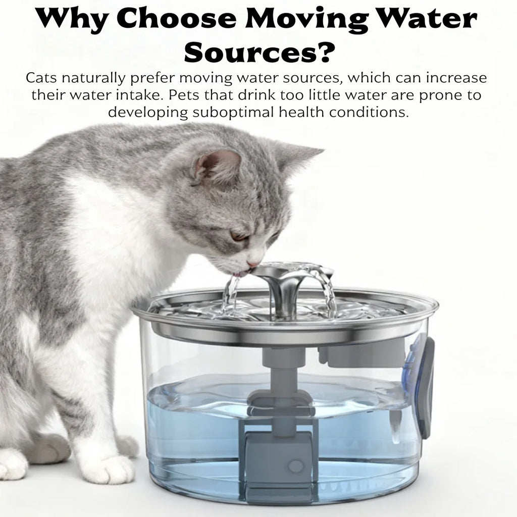 2.8L Automatic Pet Water Fountain | Lilac Foutain