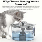2.8L Automatic Pet Water Fountain | Lilac Foutain