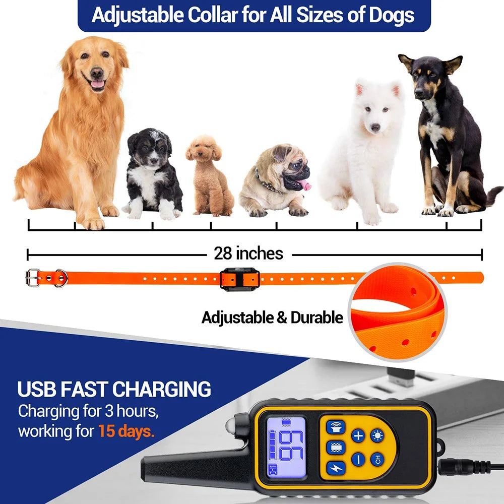 Electric Dog Training Collar Detachable Bark  Rechargeable Anti Barking With pet clicker | Lilac Training
