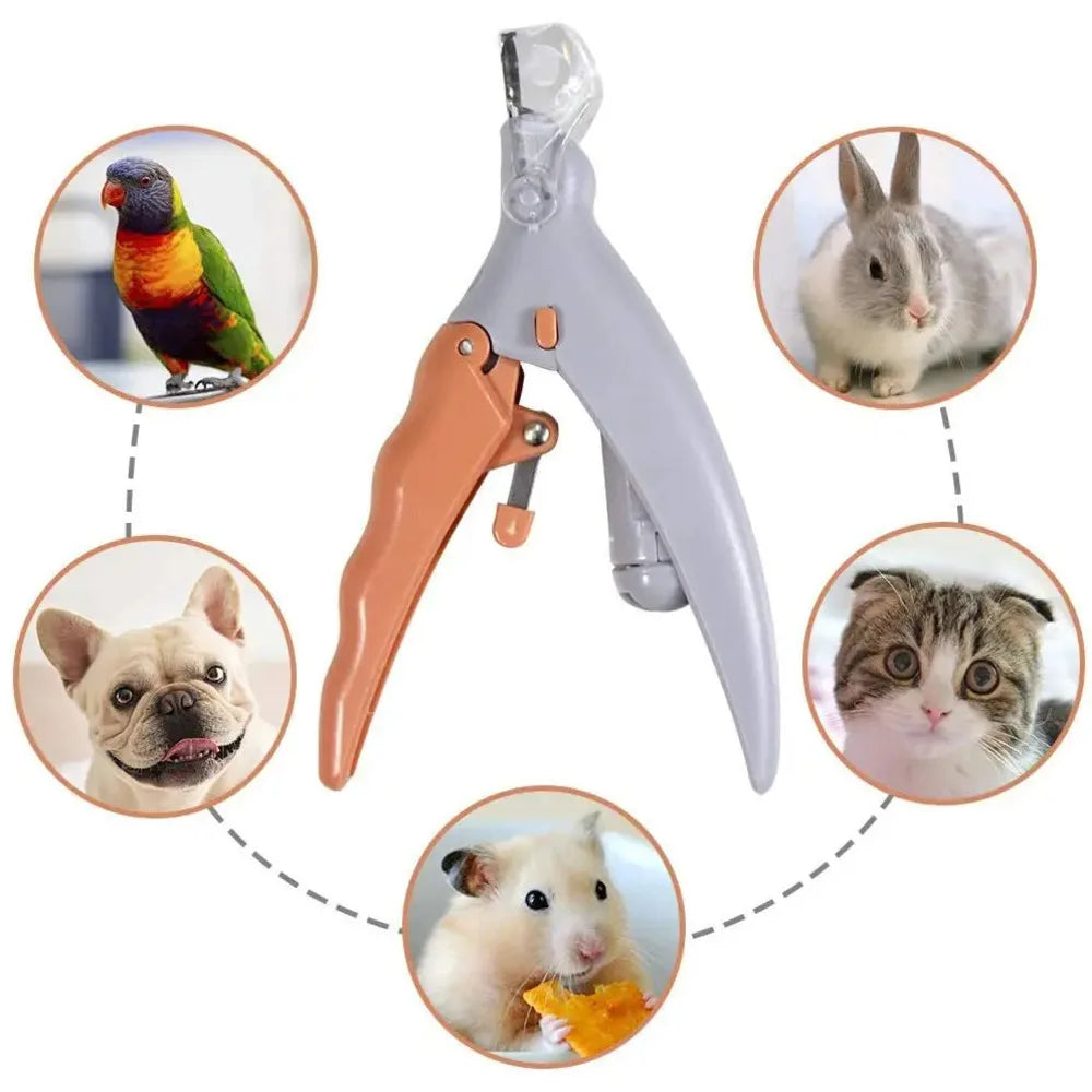 Professional Pet Nail Clipper Scissors With LED | LILAC CLIN