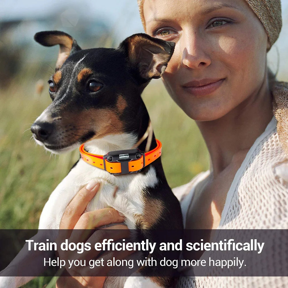 Electric Dog Training Collar Detachable Bark  Rechargeable Anti Barking With pet clicker | Lilac Training