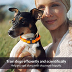 Electric Dog Training Collar Detachable Bark  Rechargeable Anti Barking With pet clicker | Lilac Training