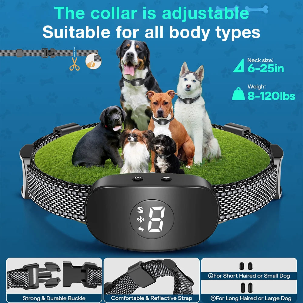 Anti Barking Collar Smart Dog | Lilac training