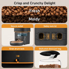 4L Automatic Cat Feeder, Smart Pet Food Dispenser with Key Control, Voice Recorder, Dual Power Supply, Timed Auto Dog Feeder with Stainless Steel Bowl | Lilac Pets