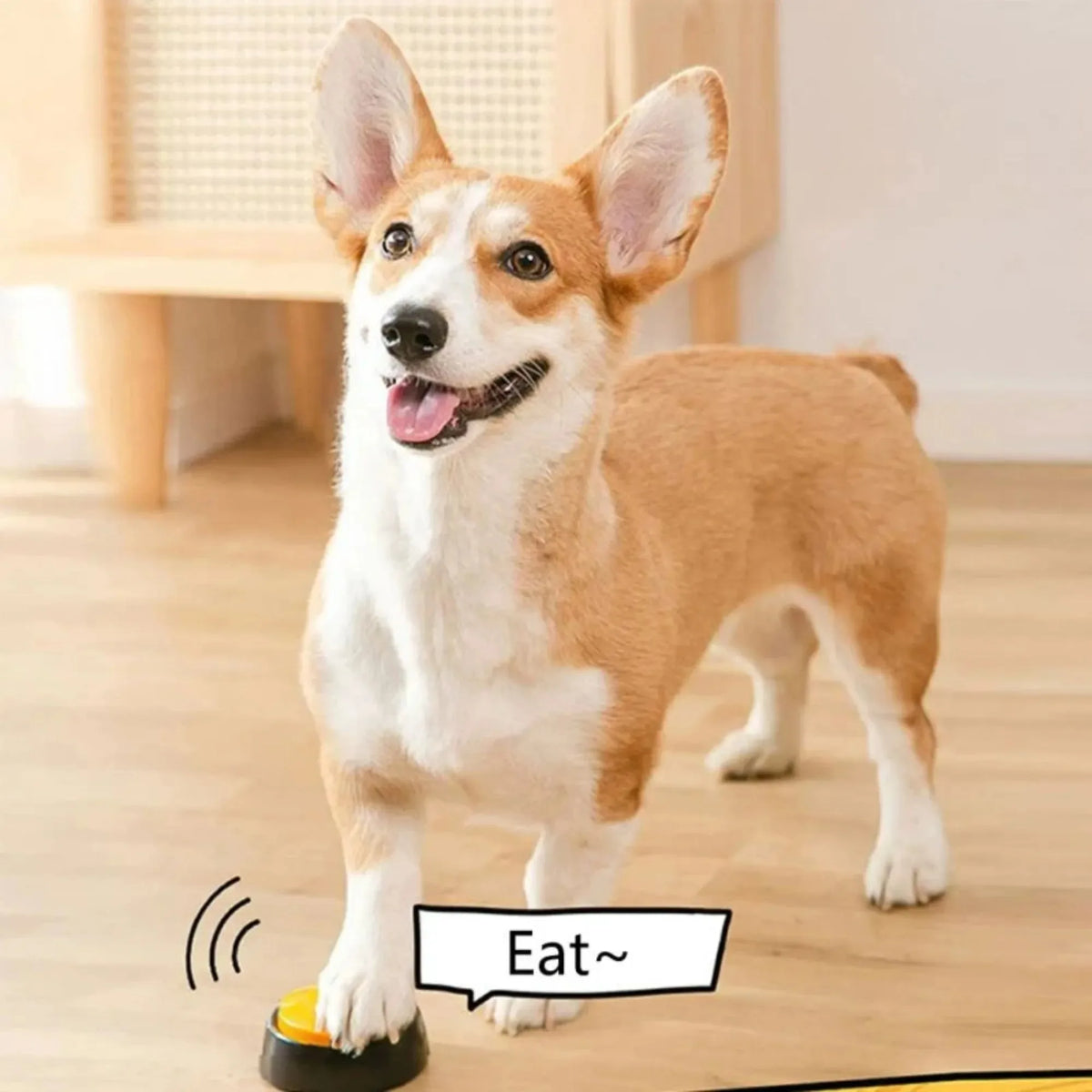 8/4/1 Uni Dog Communication Buttons Voice Recording, Button for Pet Training | Lilac Training