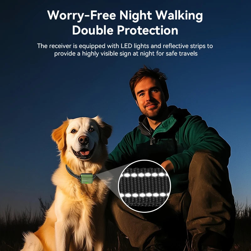 Electric Dog Training Collar Remote Control | Lilac training