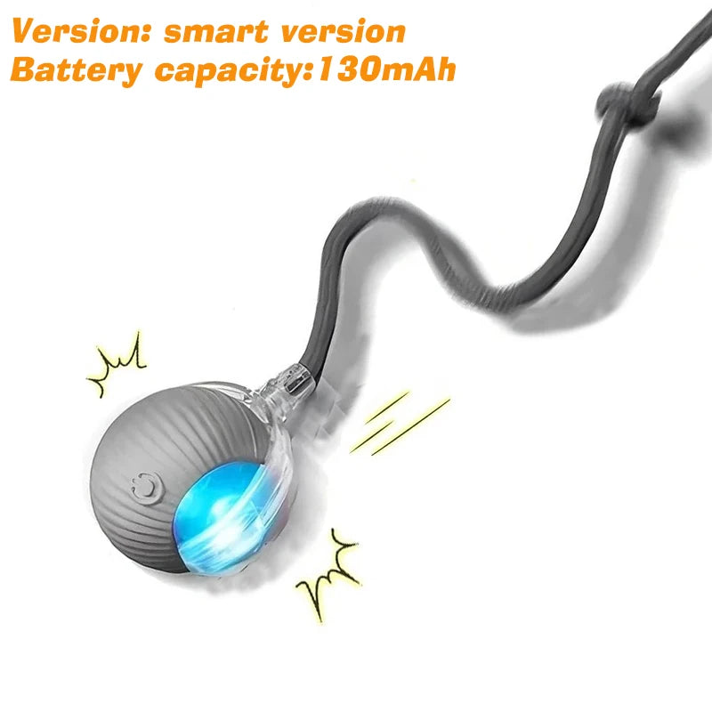 New Dog Interactive Ball Toy,Automatic Rolling Dog Ball Rechargeable,Smart Puppy Interactive Toy,Intelligent Balls Toy for Dogs | Lilac Dogs