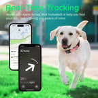 Reflective Dog Collar with Luminous AirTag Holder, Waterproof Soft Padded & Safety Buckle, Air Tag Tracker Case Collars | Lilac Dogs
