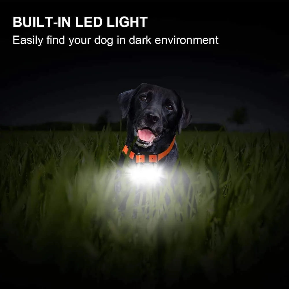 Electric Dog Training Collar Detachable Bark  Rechargeable Anti Barking With pet clicker | Lilac Training