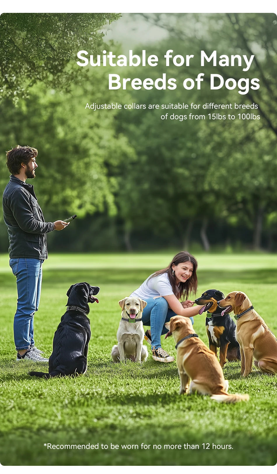 Electric Dog Training Collar Remote Control | Lilac training