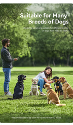 Electric Dog Training Collar Remote Control | Lilac training