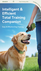 Electric Dog Training Collar Remote Control | Lilac training