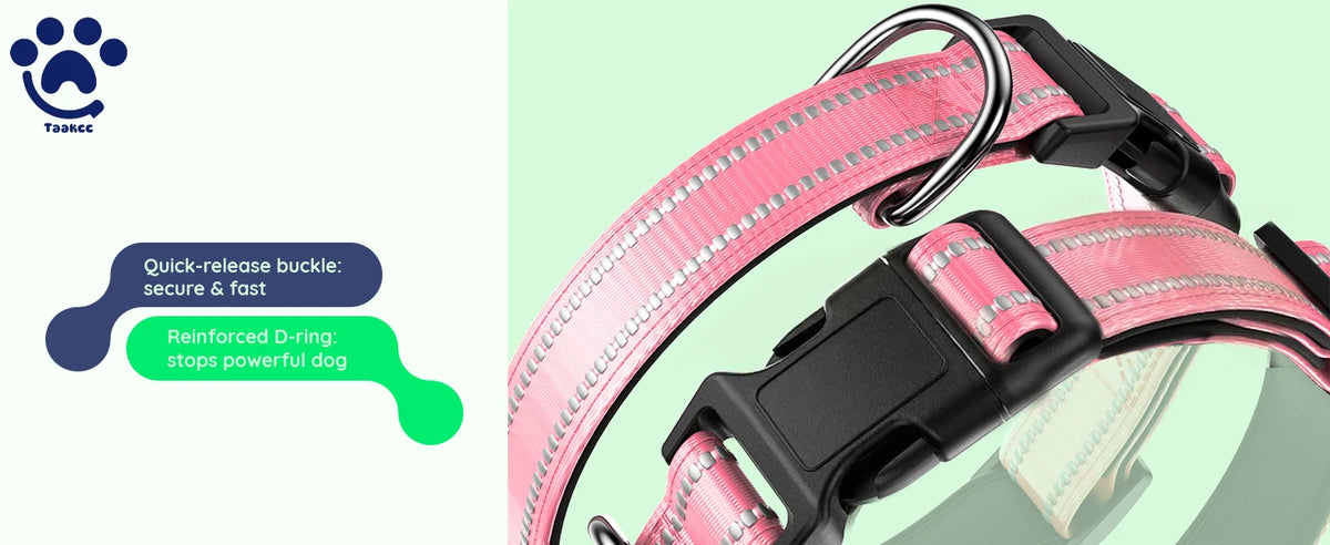 Reflective Dog Collar with Luminous AirTag Holder, Waterproof Soft Padded & Safety Buckle, Air Tag Tracker Case Collars | Lilac Dogs