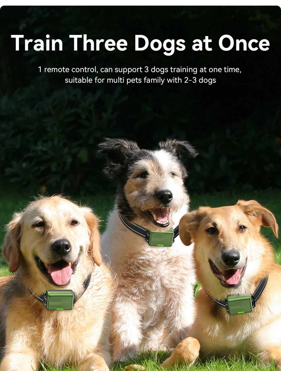 Electric Dog Training Collar Remote Control | Lilac training