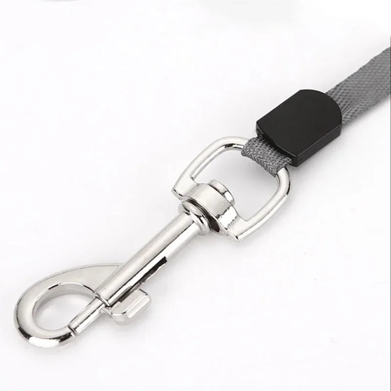 Nylon Dog Leash Automatic Retractable | Lilac Walk