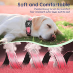Reflective Dog Collar with Luminous AirTag Holder, Waterproof Soft Padded & Safety Buckle, Air Tag Tracker Case Collars | Lilac Dogs