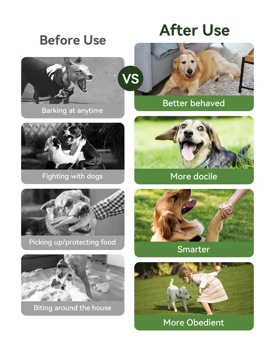 Electric Dog Training Collar Remote Control | Lilac training