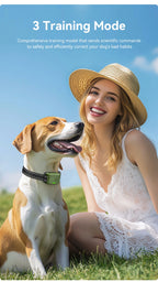 Electric Dog Training Collar Remote Control | Lilac training