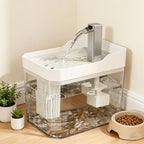 Cat Water Fountain with Auto Filter Transparent Anti-Dry | Lilac Fountain