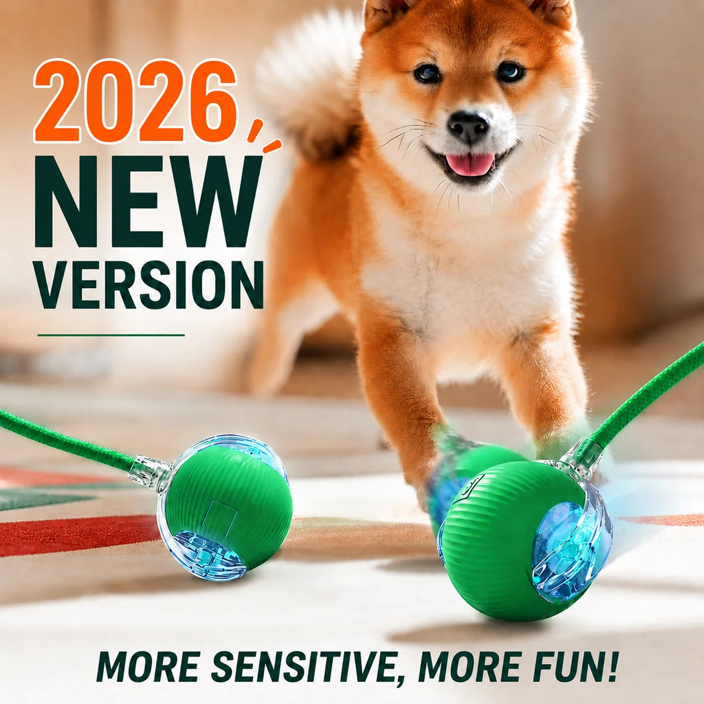 New Dog Interactive Ball Toy,Automatic Rolling Dog Ball Rechargeable,Smart Puppy Interactive Toy,Intelligent Balls Toy for Dogs | Lilac Dogs