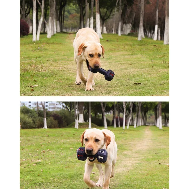 Cross-border Pet Toys | Lilac Toys