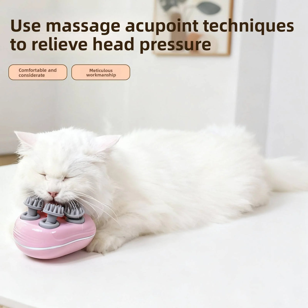 Relieve Fatigue & Relax Scalp Muscles | Lilac Pets