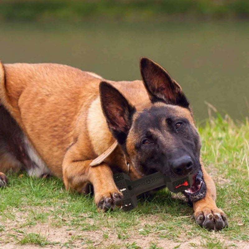 Cross-border Pet Toys | Lilac Toys