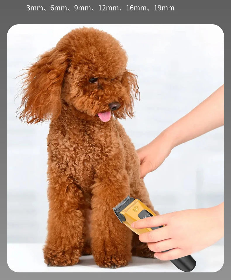 Pet Clipper Professional Dog Hair Trimmer Cat Grooming Shaver Type-c | Lilac Pets