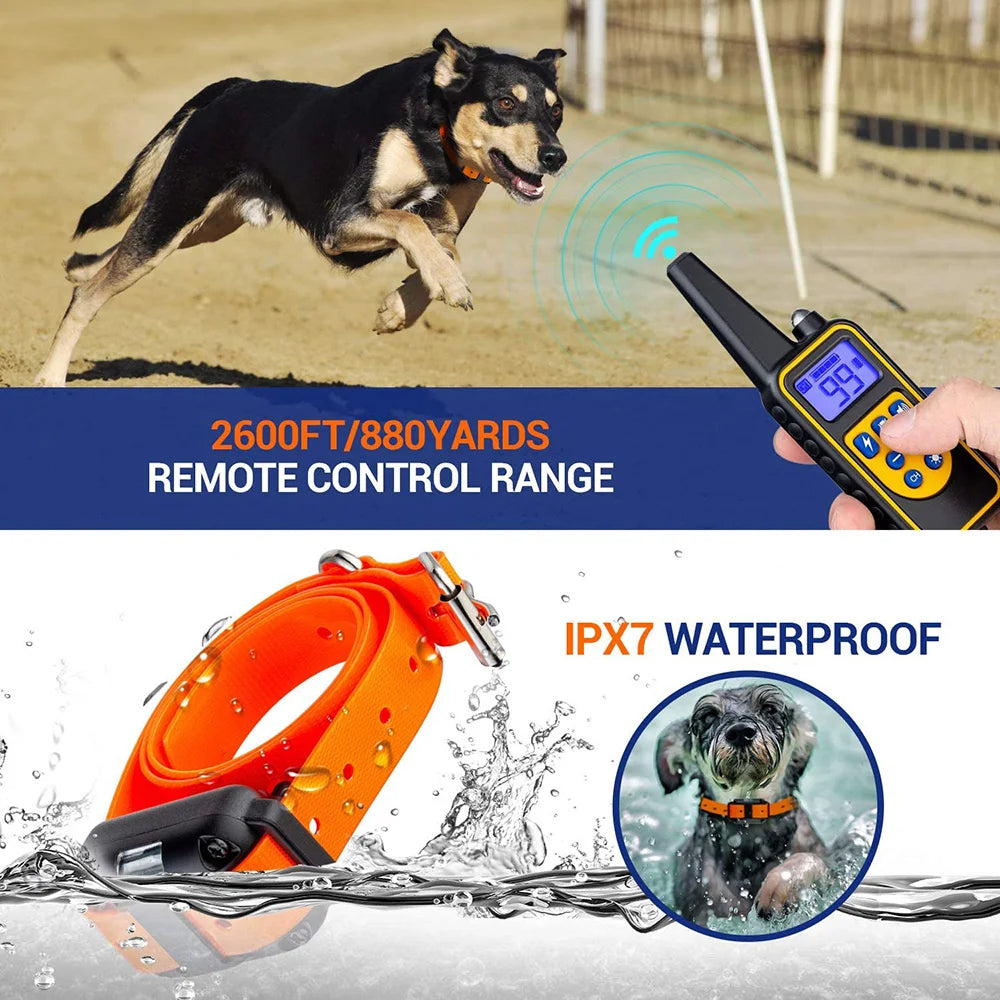 Electric Dog Training Collar Detachable Bark  Rechargeable Anti Barking With pet clicker | Lilac Training