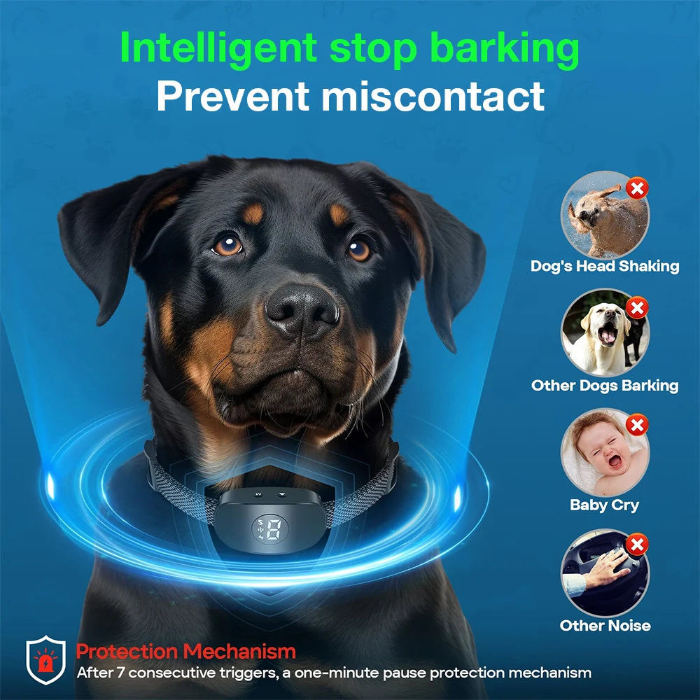 Anti Barking Collar Smart Dog | Lilac training