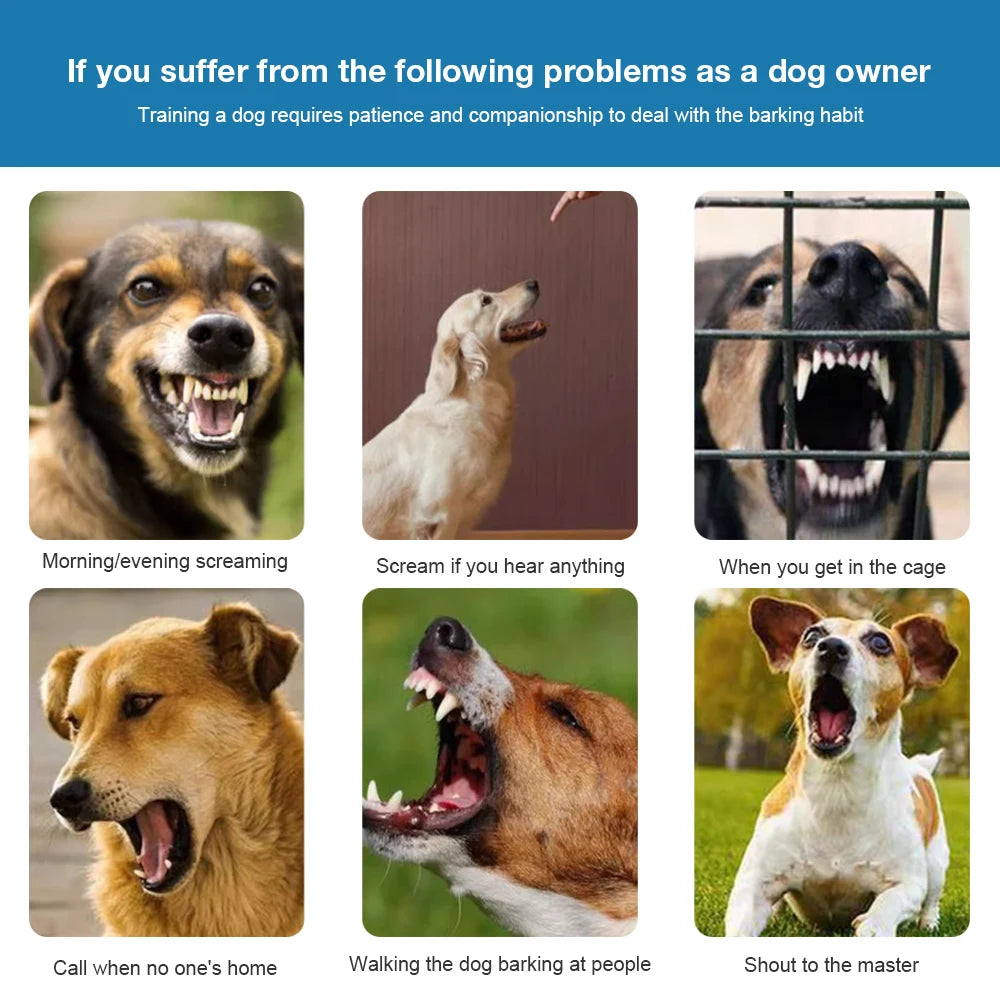 Anti Barking Collar Smart Dog | Lilac training