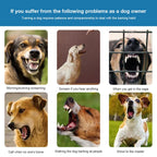 Anti Barking Collar Smart Dog | Lilac training