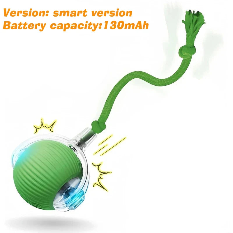 New Dog Interactive Ball Toy,Automatic Rolling Dog Ball Rechargeable,Smart Puppy Interactive Toy,Intelligent Balls Toy for Dogs | Lilac Dogs