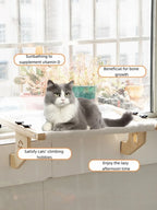 Cat Window Sill, Cat Window Hammock. | Lilac Cats