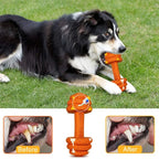 Cross-border Pet Toys | Lilac Toys