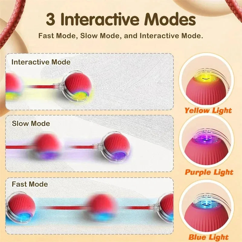 New Dog Interactive Ball Toy,Automatic Rolling Dog Ball Rechargeable,Smart Puppy Interactive Toy,Intelligent Balls Toy for Dogs | Lilac Dogs