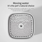 3L Cat Water Fountain Auto Recirculate Filter | Lilac Fountain