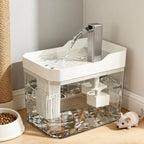Cat Water Fountain with Auto Filter Transparent Anti-Dry | Lilac Fountain