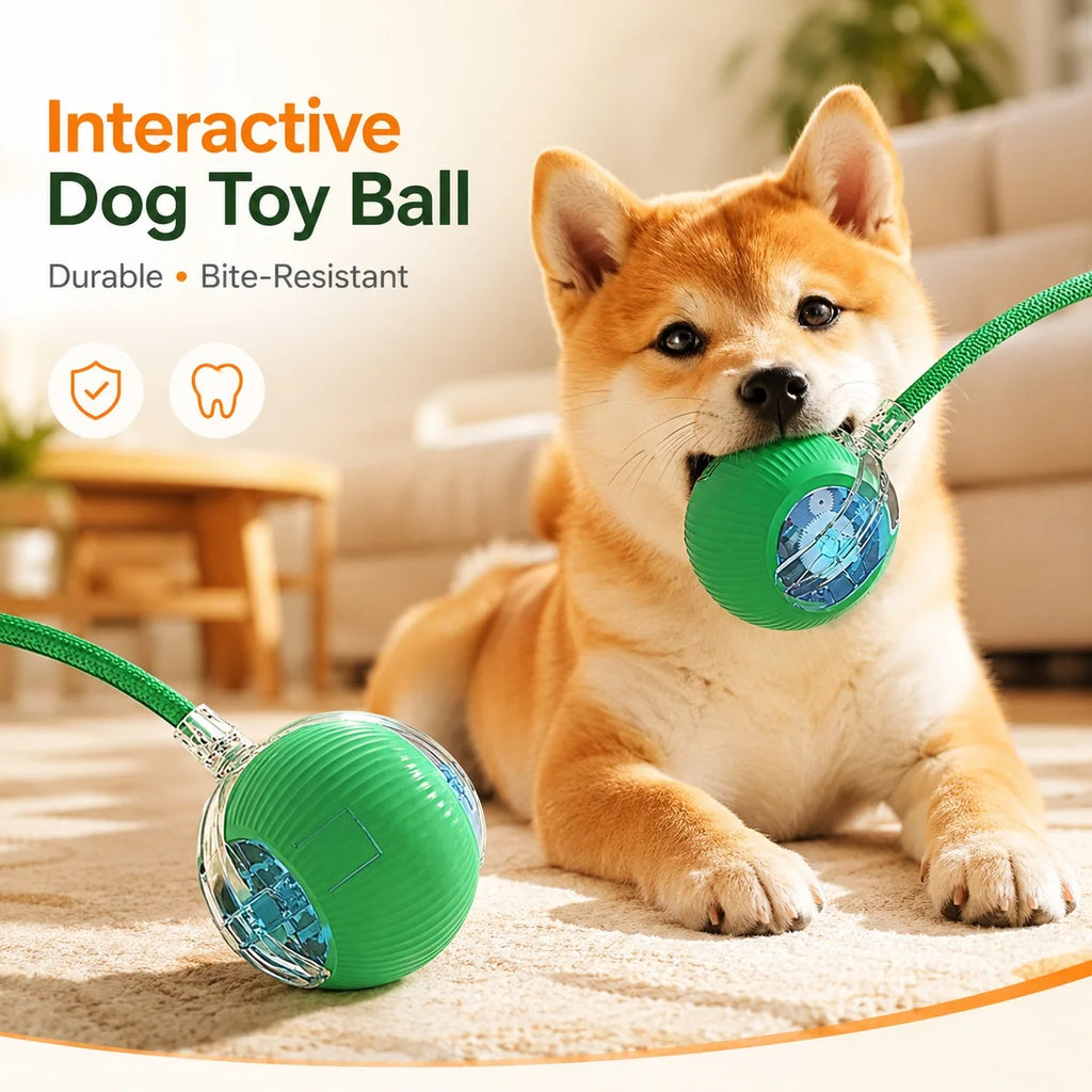 New Dog Interactive Ball Toy,Automatic Rolling Dog Ball Rechargeable,Smart Puppy Interactive Toy,Intelligent Balls Toy for Dogs | Lilac Dogs