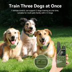 Electric Dog Training Collar Remote Control | Lilac training